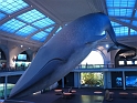 Kids-NYC_AMNH_3-2014 (113)